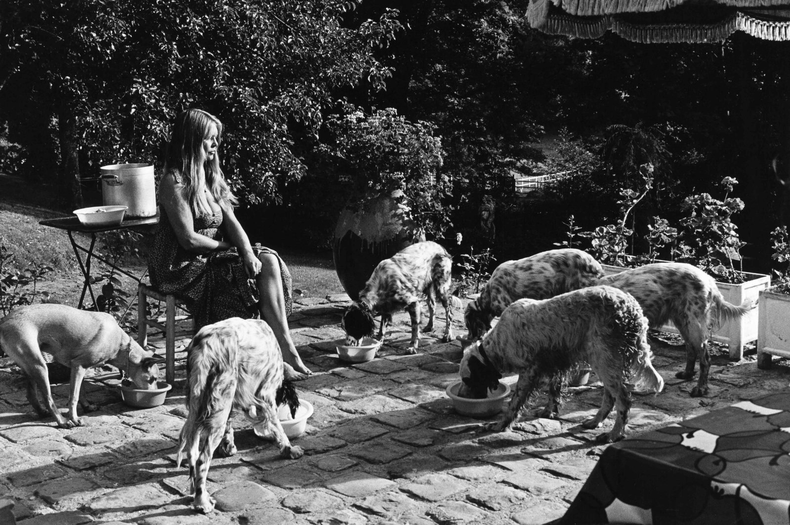 LÉONARD DE RAEMY | Brigitte Bardot and her dogs at La Madrague in Saint Tropez, c. 1980s (1 of 1)