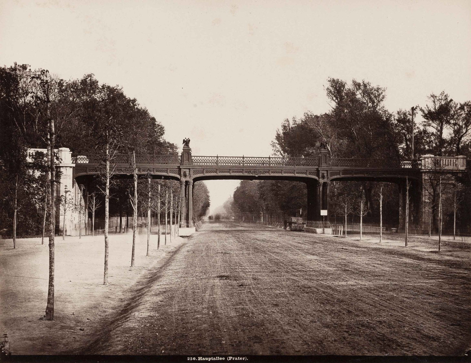 MICHAEL FRANKENSTEIN (1843–1918): MICHAEL FRANKENSTEIN (1843–1918) | Railway bridge over Prater Hauptallee, Vienna 1890 Image Size: 19.8 x 25.5 cm English Albumen print 20.3 x 25.5 cm, flush-mounted on the original board 30.4 x