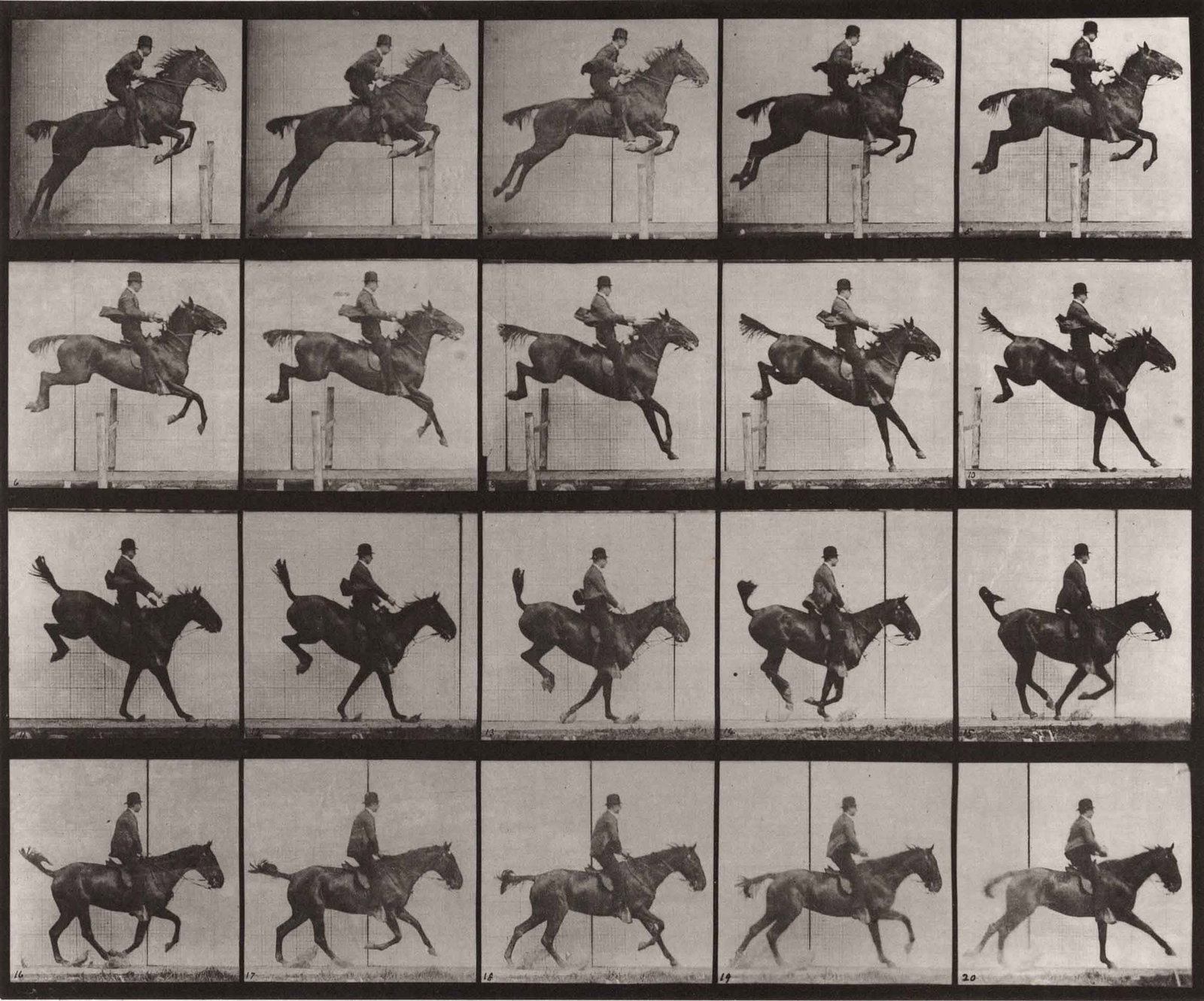EADWEARD MUYBRIDGE (1830–1904): EADWEARD MUYBRIDGE (1830–1904) | Jumping a hurdle on bay horse Daisy, 1872–1885 Image Size: 25.4 x 30.8 cm English Collotype on the original board 47.6 x 60.7 cm, in very good condition.