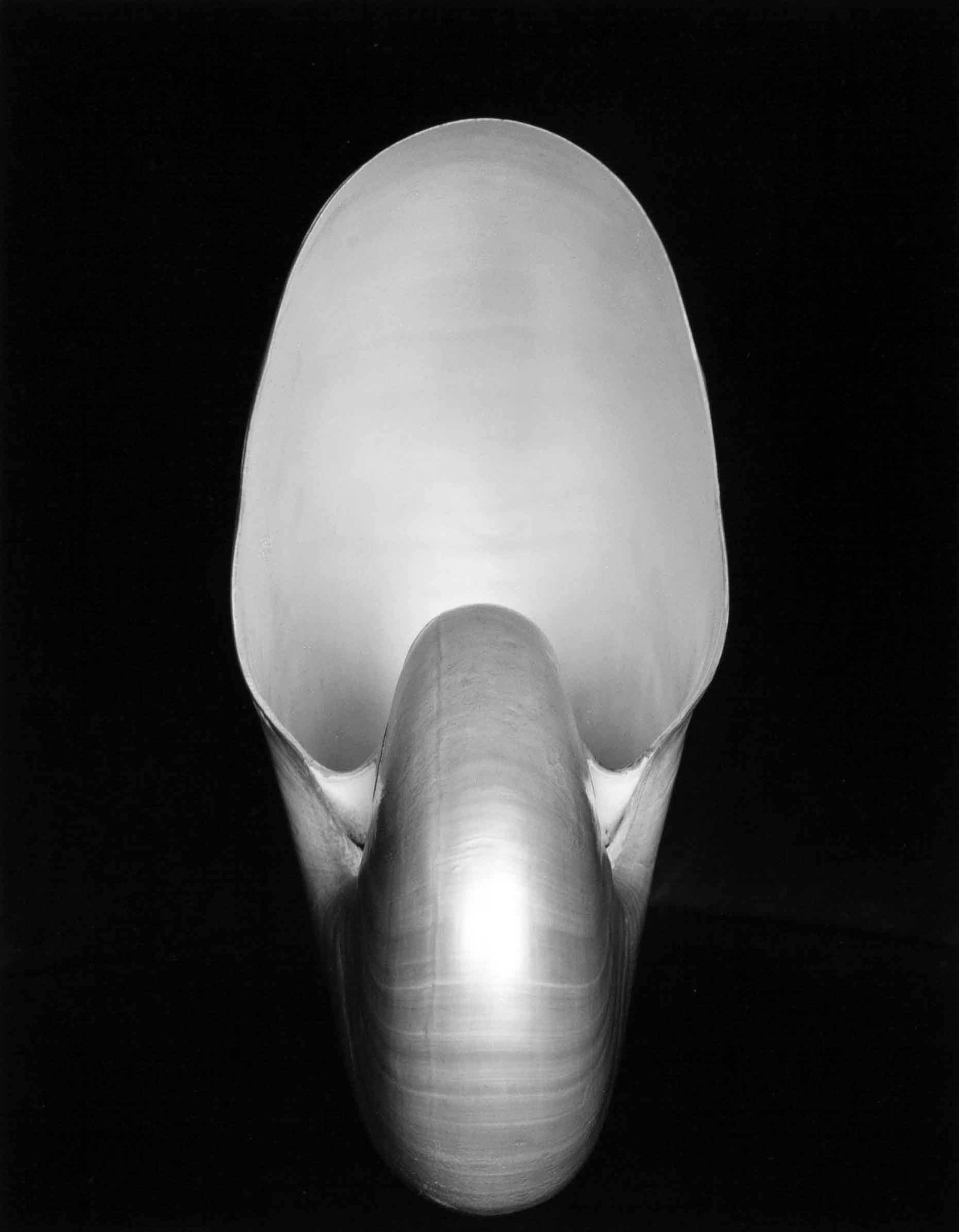 EDWARD WESTON (1886–1958) (1 of 3)