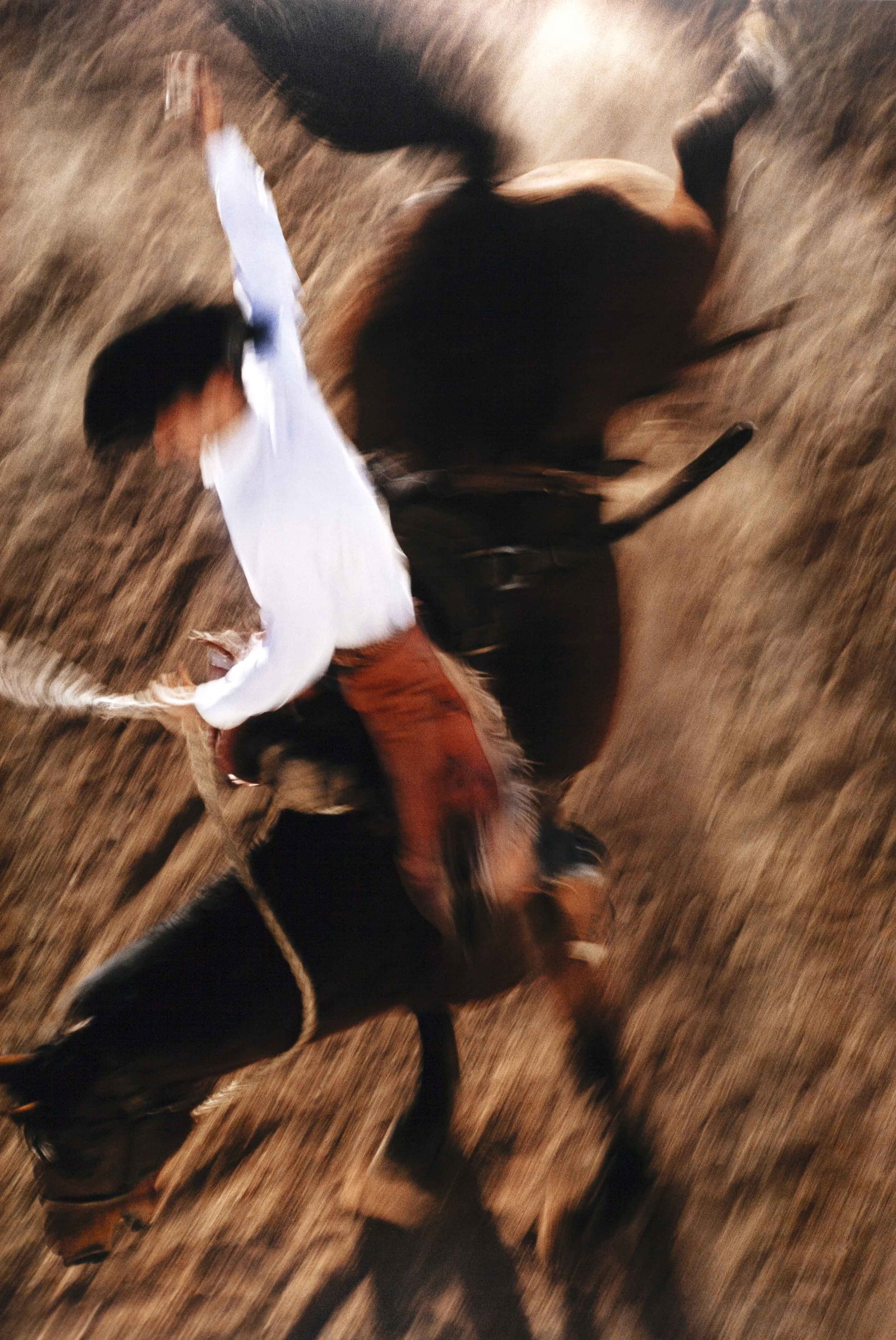 ERNST HAAS (1921–1986): ERNST HAAS (1921–1986) | 'Bronco Rider', California 1957 Image Size: 66,2 x 44 cm English Chromogenic print 76.3 x 50.7 cm, in excellent condition. Handwritten title, annotated "Estate of Ernst