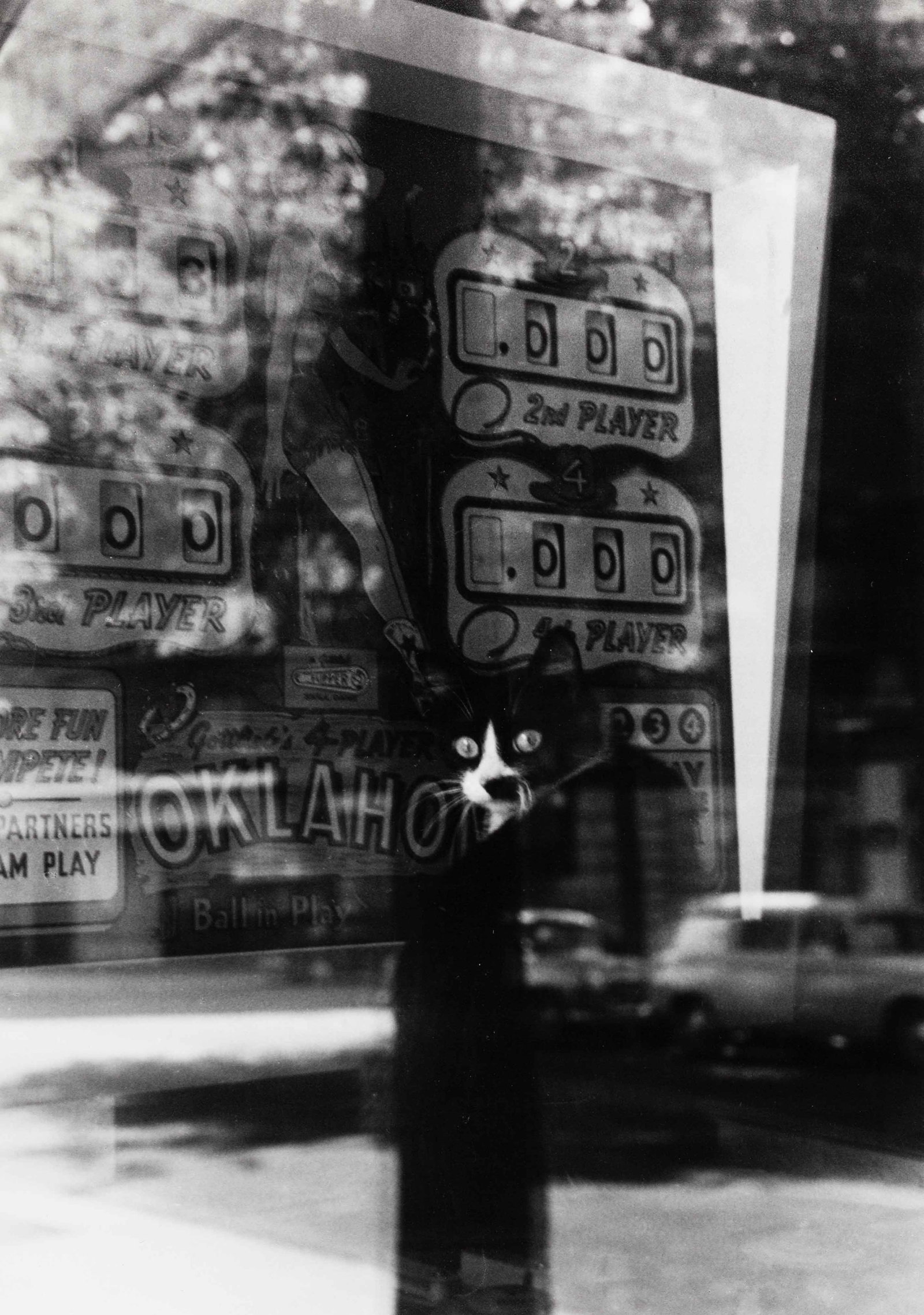 IZIS (1911–1980): IZIS (1911–1980) | Cat at the slot machine in a café, Paris 1976 Image Size: c. 35.5 x 23.9 cm English Vintage gelatin silver print, 39.7 x 29.2 cm, in very good condition. Signed in ink