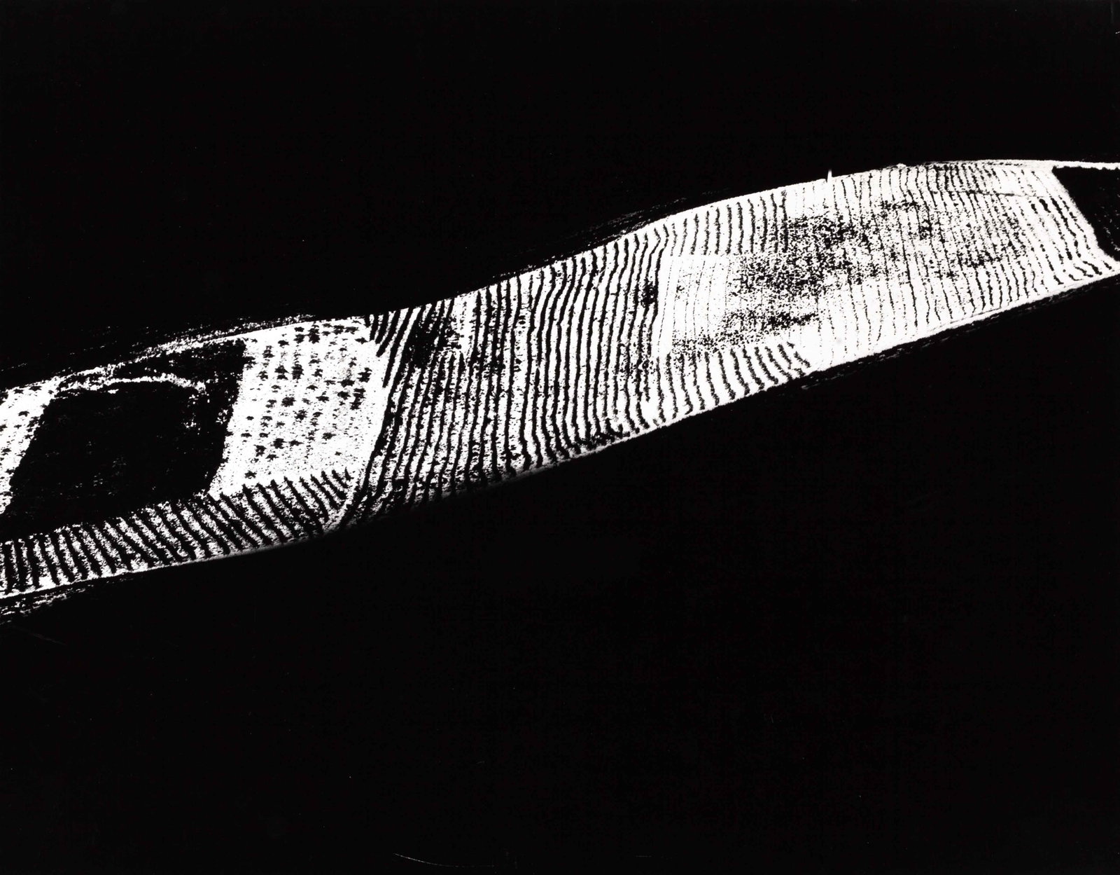 MARIO GIACOMELLI (1925–2000): MARIO GIACOMELLI (1925–2000) | From the series 'Presa di coscienza sulla natura', Italy 1992 Image Size: 30.4 x 39 cm English Vintage gelatin silver print on Agfa paper, in excellent condition.