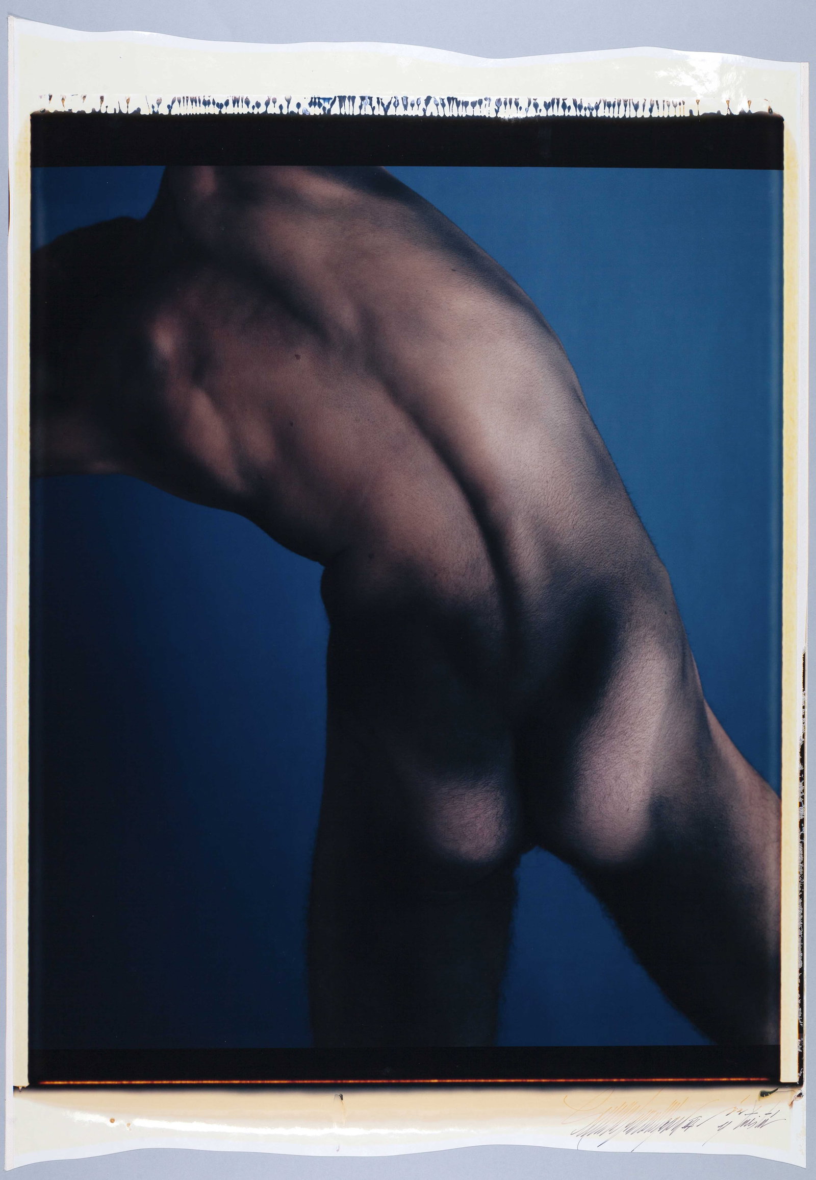 LUCIANO FRANCHI DE ALFARO III (1945–2008): LUCIANO FRANCHI DE ALFARO III (1945–2008) | Untitled, 1983 Image Size: c. 61 x 52 cm English Unique Polaroid Polacolor 20x24 inch, c. 80 x 56 cm, in excellent condition. Signed and dated by the