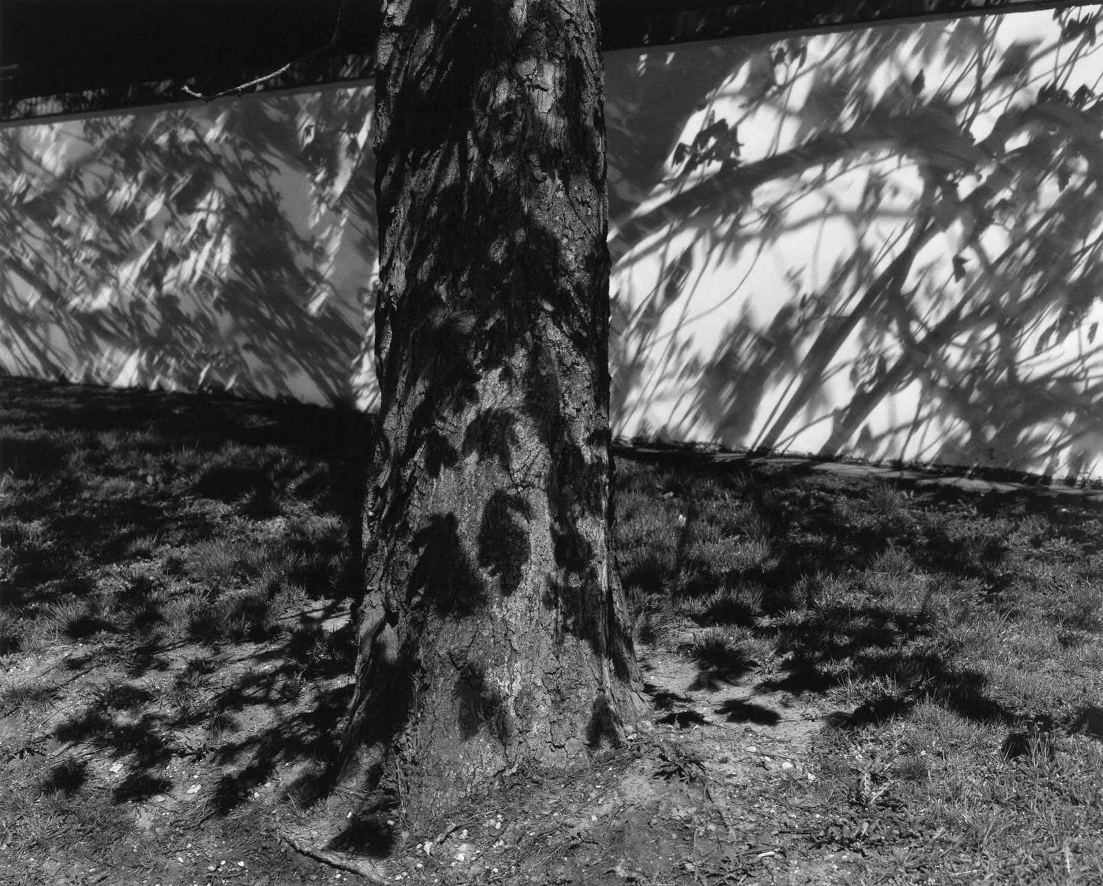 FRITZ SIMAK (*1955): FRITZ SIMAK (*1955) | 'Schönbrunn wall at night 10', Vienna 2010 Image Size: 37.5 x 46.5 cm English Vintage gelatin silver print, selenium toned, printed by Todd Watts, flush-mounted on original
