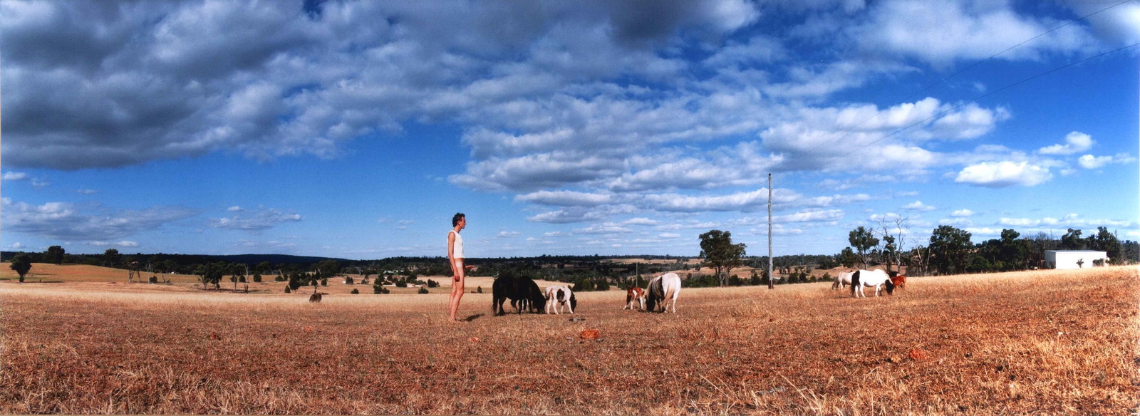 GELATIN (founded 1993): GELATIN (founded 1993) | 'Ständer' (boner), 2003 Image Size: 40 x 109 cm English Chromogenic print on Fuji Color paper, in very good condition. Credited by GELATIN, signed by Tobias Urban