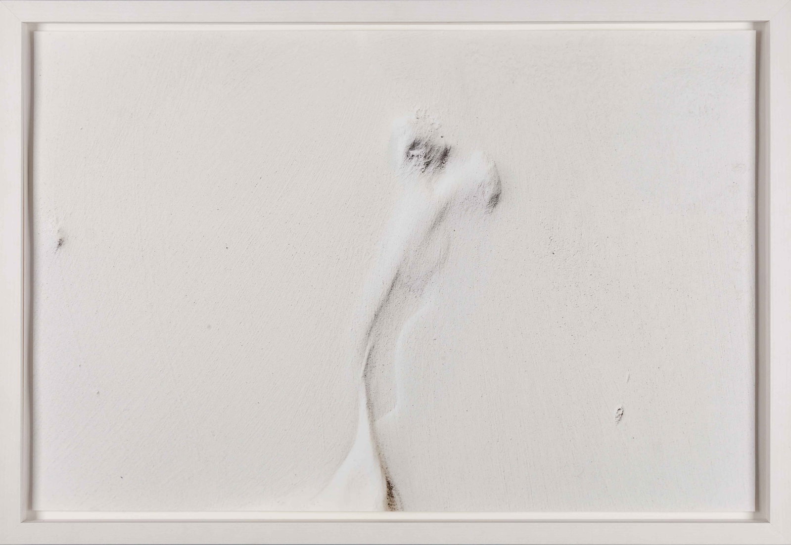 FRANCESCA CATASTINI (*1982): FRANCESCA CATASTINI (*1982) | 'Humerus', 2023 Image Size: c. 39.5 x 60 cm English Archival pigment print on Hahnemühle paper, mounted on board c. 40 x 60 cm, in excellent condition. Original whit