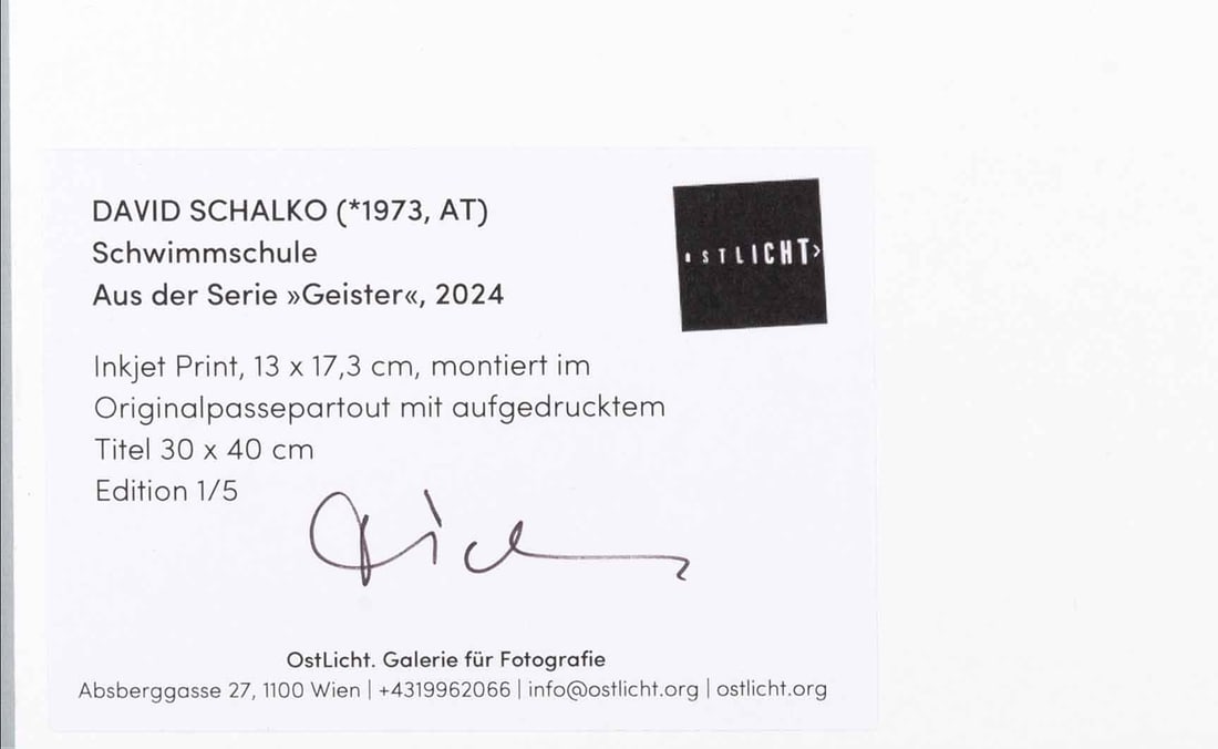 DAVID SCHALKO (*1973) - 4