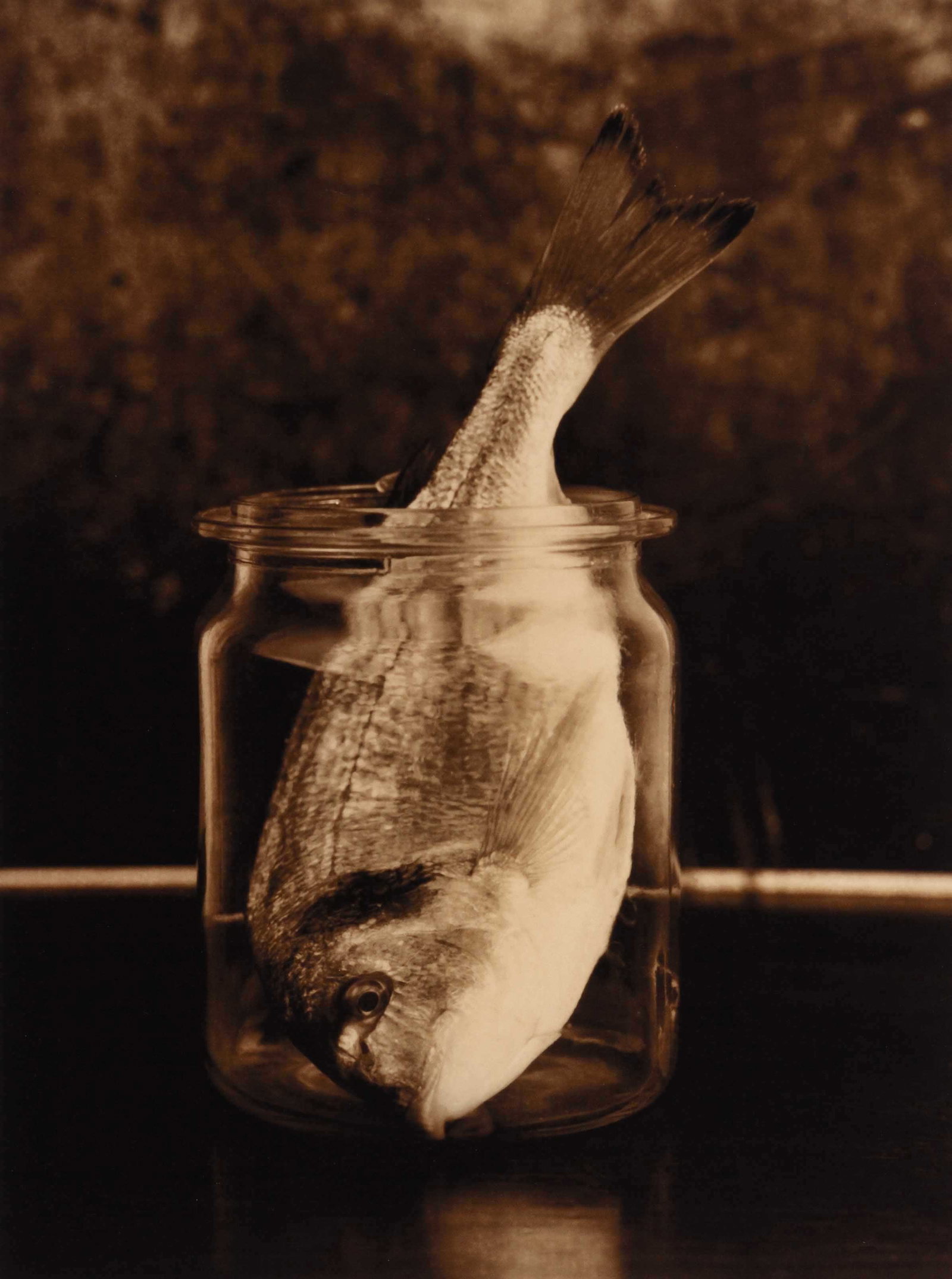 NATASCHA AUENHAMMER (*1964): NATASCHA AUENHAMMER (*1964) | 'Zu tief ins Glas geschaut', from 'Ode to the Fish', 2017 Image Size: 40 x 30 cm English Archival pigment print from a medium-format negative on Hahnemuehle paper c. 46.5