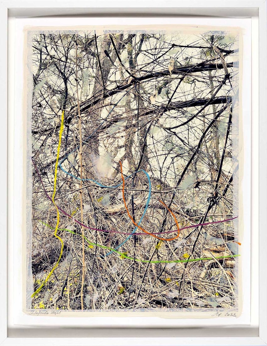 REGINA ANZENBERGER (*1964): REGINA ANZENBERGER (*1964) | 'Roots & Waltz IX', 2023 Image Size: c. 47 x 35 cm English Hand-painted archival pigment print on Hahnemuehle paper 49 x 37.5 cm, mounted on paper support 53 x 40.5 cm,