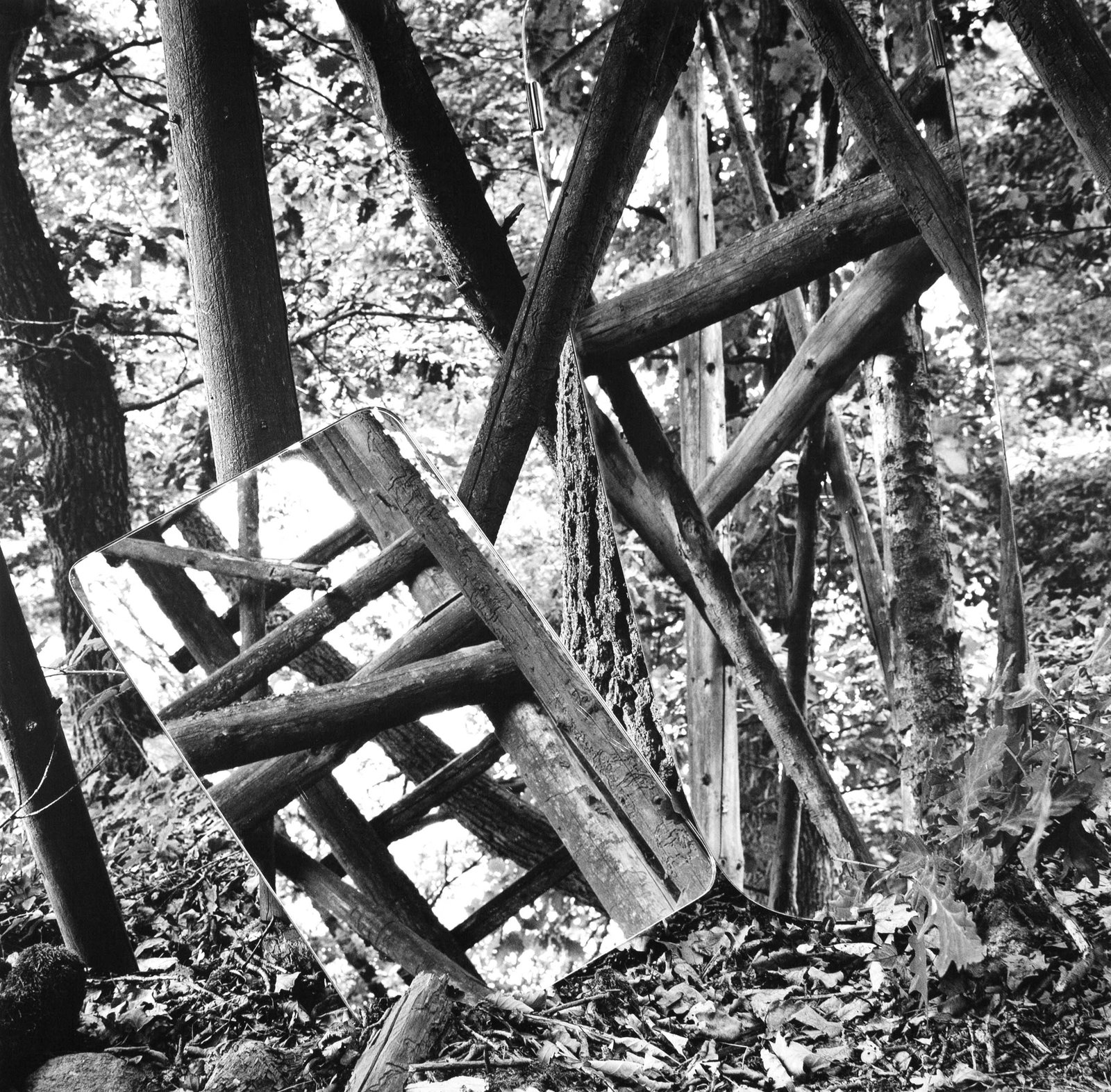 ELISABETH CZIHAK (*1966): ELISABETH CZIHAK (*1966) | 'Where to Hide? #2', 2025 Image Size: 79.5 x 80 cm English Gelatin silver print 87.5 x 88 cm, in excellent condition. Signed, titled, dated and edition numbered "1/3" on