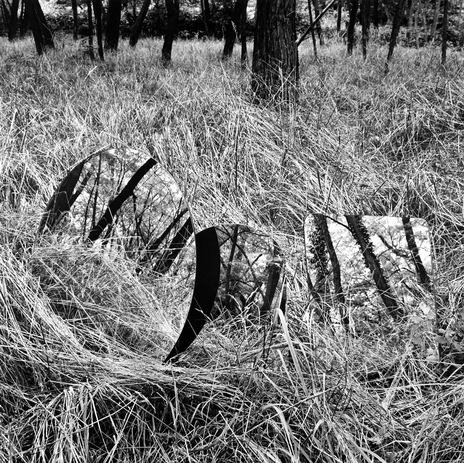 ELISABETH CZIHAK (*1966): ELISABETH CZIHAK (*1966) | 'Where to Hide? #3', 2025 Image Size: 87.5 x 80 cm English Gelatin silver print 89.5 x 90 cm, in excellent condition. Signed, titled, dated and edition numbered "1/3" on
