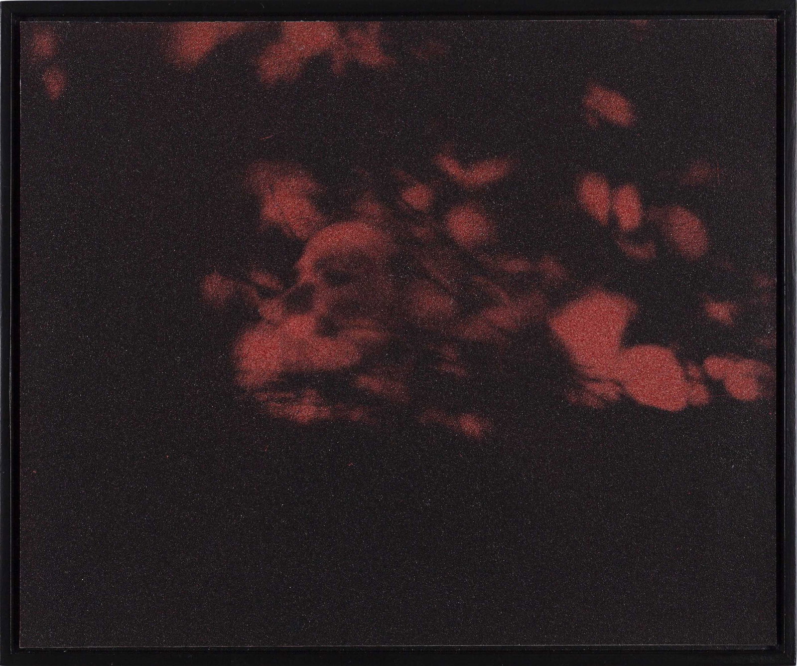 BIRGIT GRASCHOPF (*1978): BIRGIT GRASCHOPF (*1978) | Untitled, 2025 Image Size: 28.8 x 27.9 cm English Gelatin silver print on red sandpaper, flush-mounted on board, in excellent condition. Original black wooden frame without