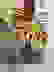 item-69069364=3