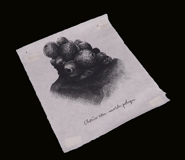 Alien: Covenant David's Fungal Pods Artwork (1 of 2)