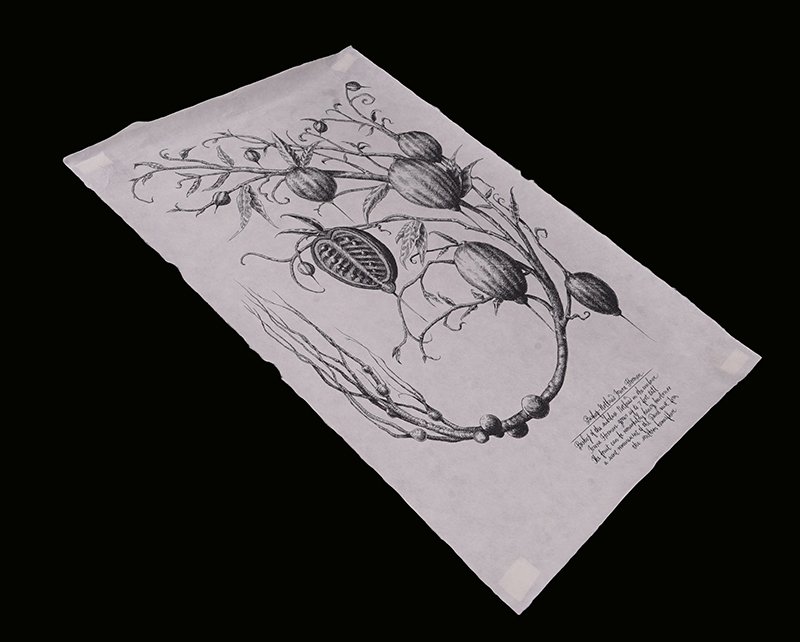 Alien: Covenant David's Fruit Vine Artwork (1 of 2)