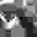 item-66360764=4