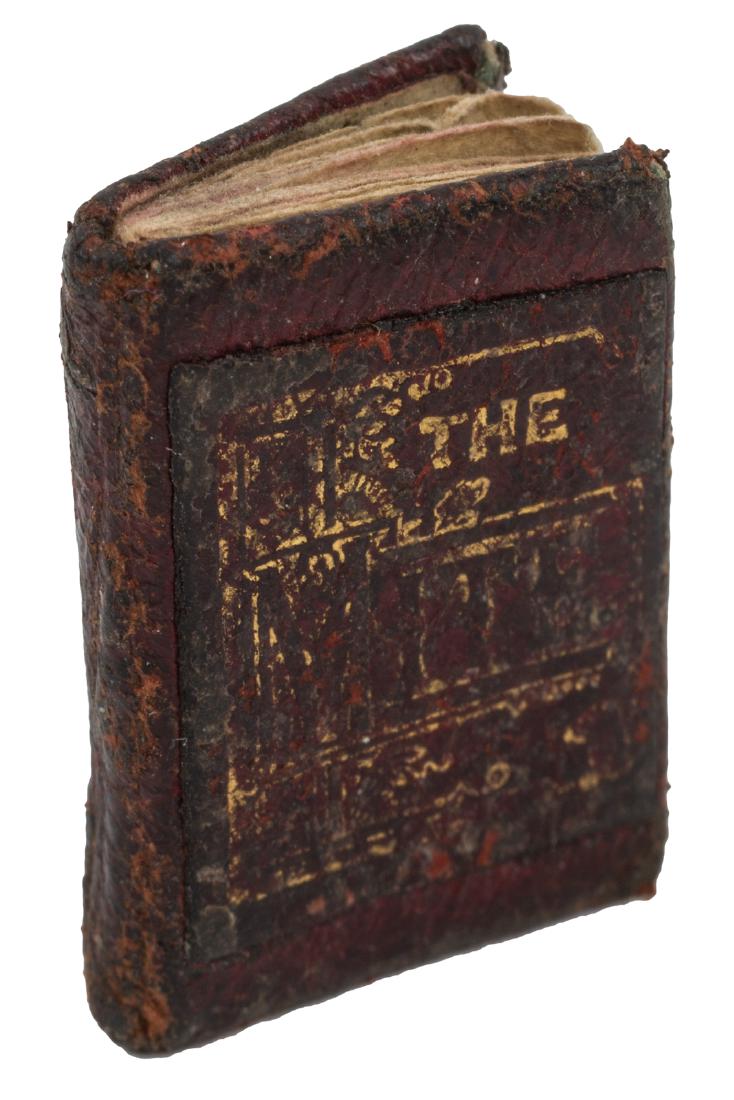 The Mite once the smallest book in the world (1 of 1)