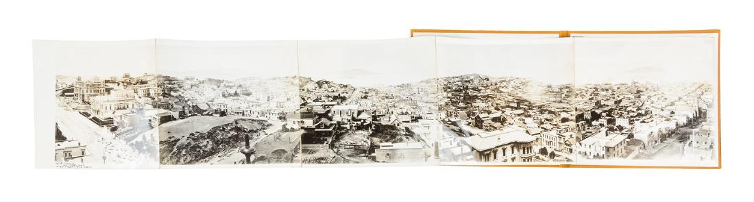 Muybridge's Panorama of San Franicisco (1 of 10)