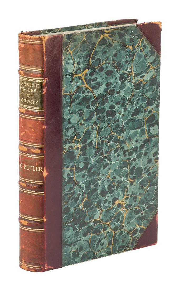 Foreign Finches in Captivity: Heading: Author: Butler, Arthur G. Title: Foreign Finches in Captivity Place Published: Hull and London Publisher:Brumby and Clarke Date Published: 1899 Description: [8], v