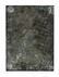 Printing plate for John R. Neill Oz illustration - 3