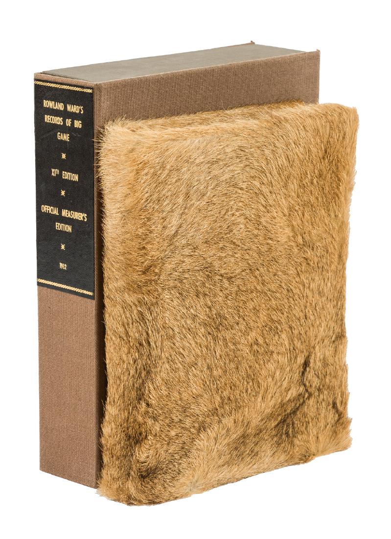 Bound in lion skin (1 of 10)