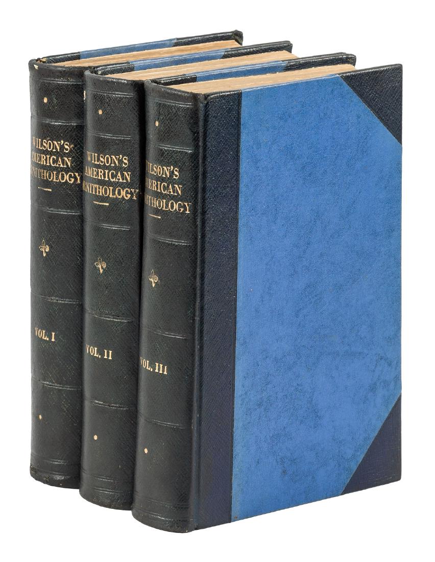Wilson & Bonaparte American Ornithology 100+ Color: Heading: Author: Wilson, Alexander & Prince Charles Lucian Bonaparte Title: American Ornithology; Or, The Natural History of the Birds of the United States Place Published: London Publisher:Chatto and