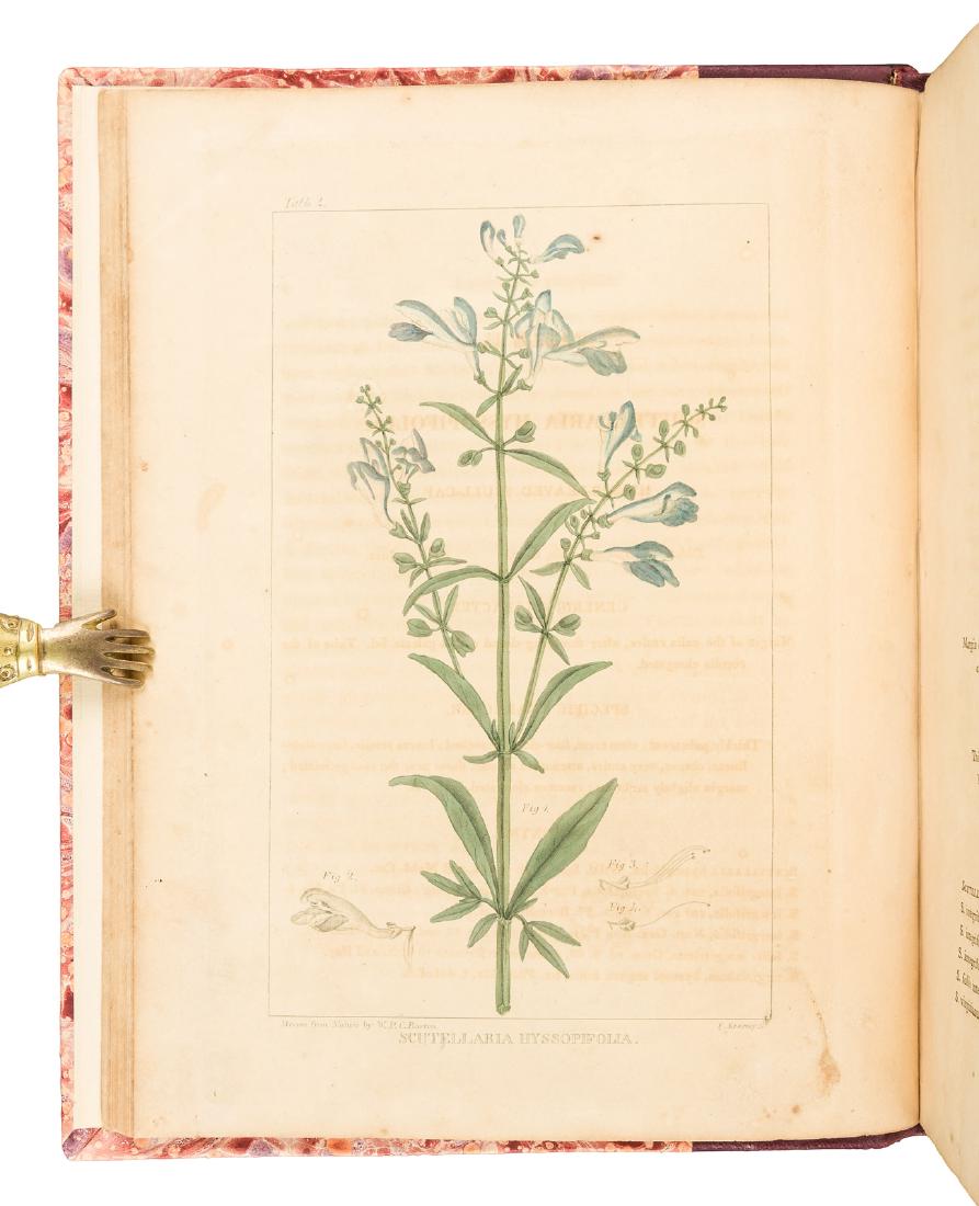 Barton's Flora of North America 1821 (1 of 6)