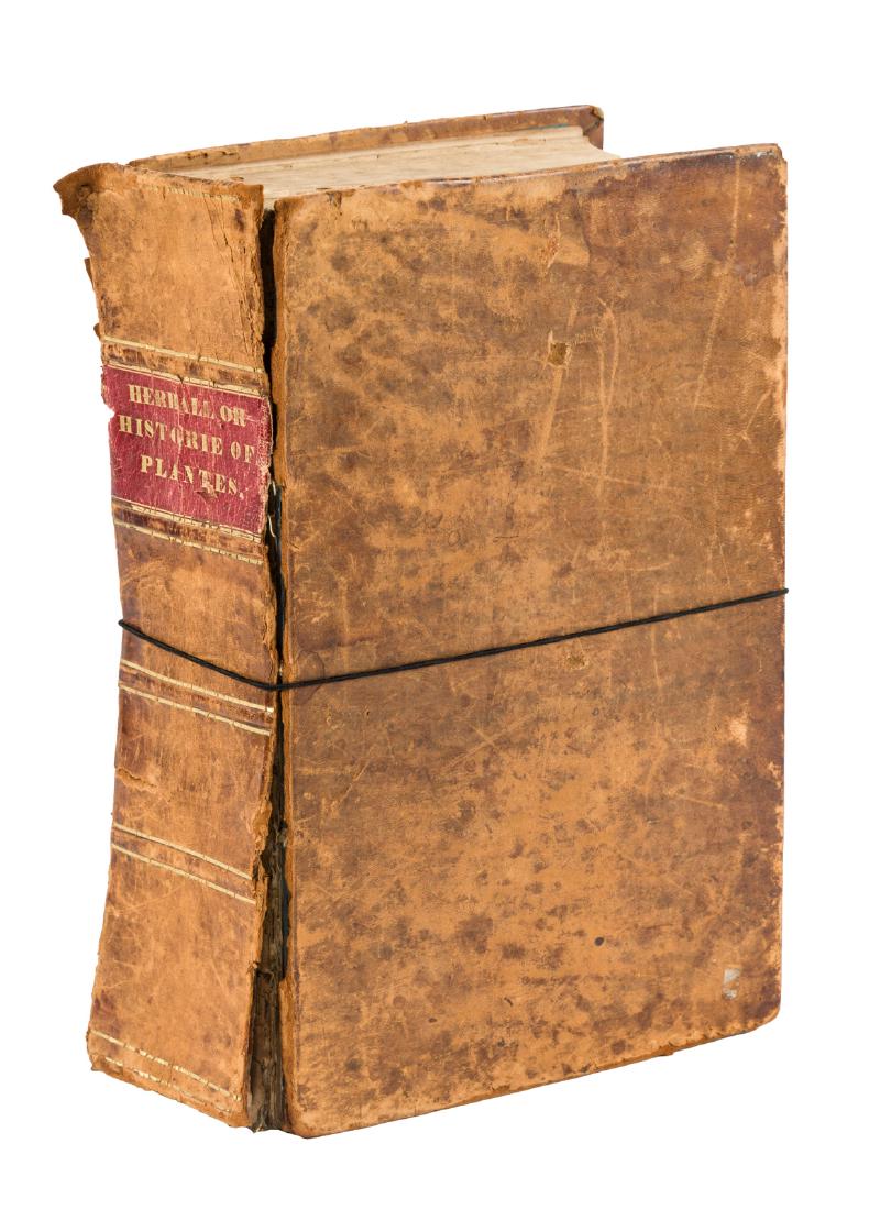 John Gerard's massive Herbal, 1636: Heading: Author: Gerard, John Title: The Herball or Generall Historie of Plantes. Gathered by John Gerarde of London Master in Chirurgerie. Very much Enlarged and Amended by Thomas Johnson, Citizen a