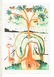 Dali's Alice's Adventures in Wonderland 1/2500 - 10