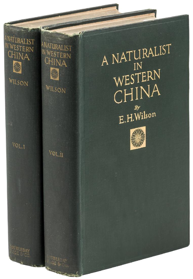 Botanical explorations in the interior of China (1 of 1)