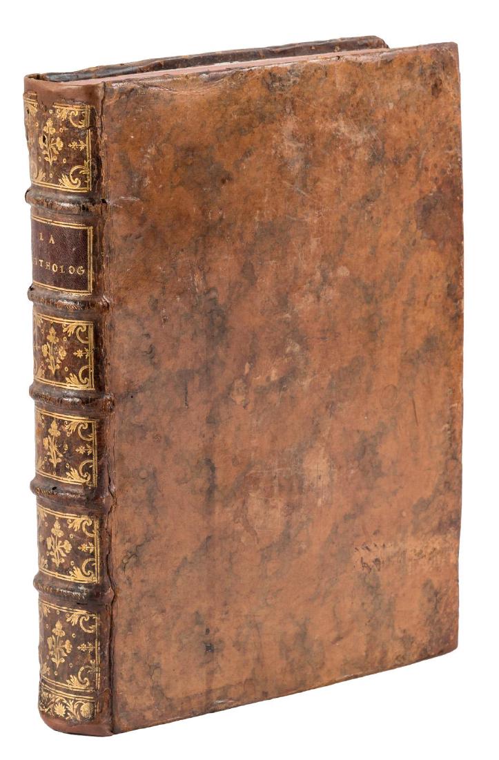 Early work on classifying corals and shells w/32 plates (1 of 10)