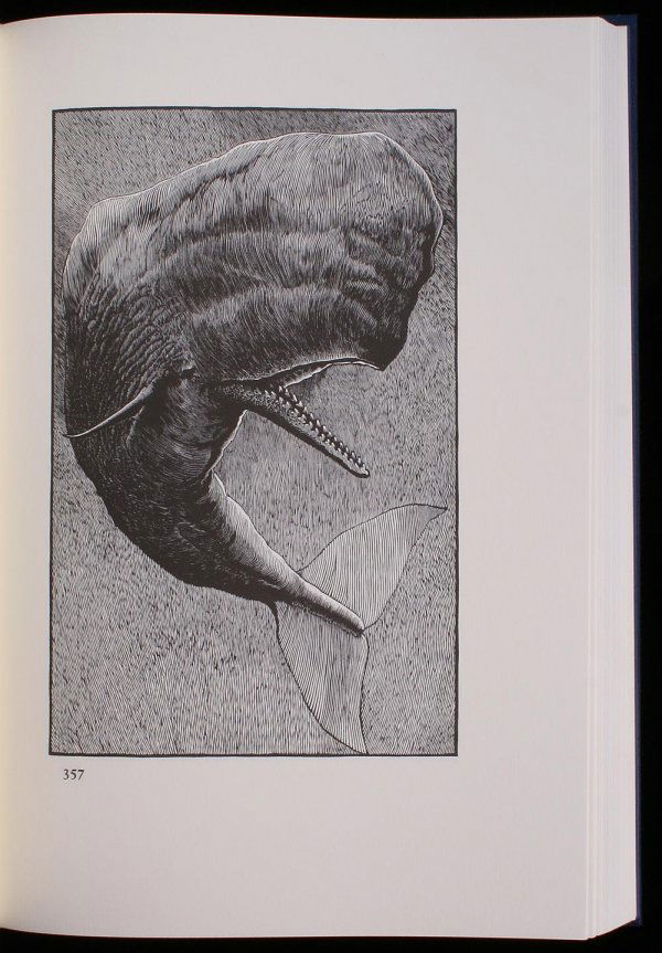Moby Dick; or, The Whale.: Author: Melville, Herman Description: Illus. with wood engravings. Folio, 13½x8½, blue cloth, silver-lettered spine, slipcase. 1 of 750 copies printed by The Kingsport Press. Photo-facsimile of the