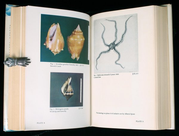 Steinbeck & Ricketts Sea of Cortez first edition: Author: Steinbeck, John & Edward F. Ricketts Sea of Cortez: A Leisurely Journal of Travel and Research Illustrated from color and black and white photographs, drawings and charts; map endpapers. 8vo.