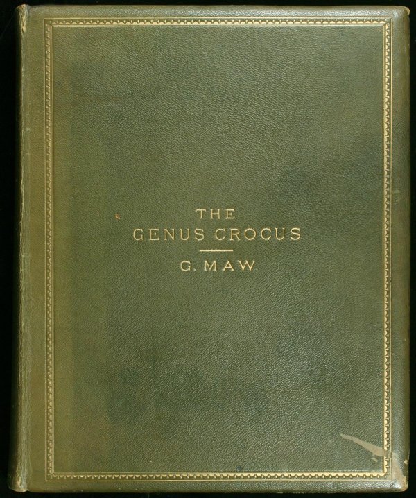 Maw's Genus Crocus with colored plates 1886 - 4