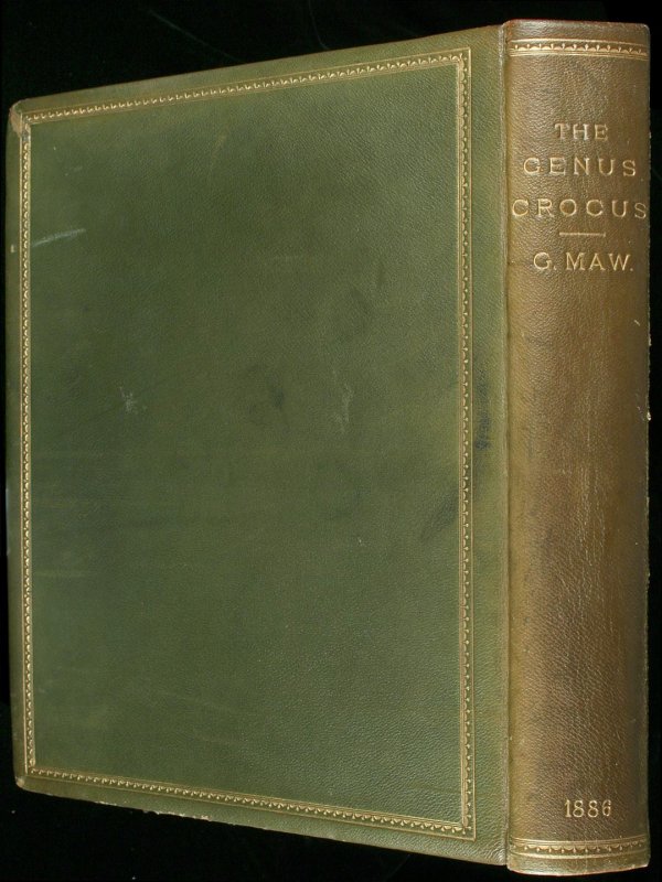Maw's Genus Crocus with colored plates 1886 - 5