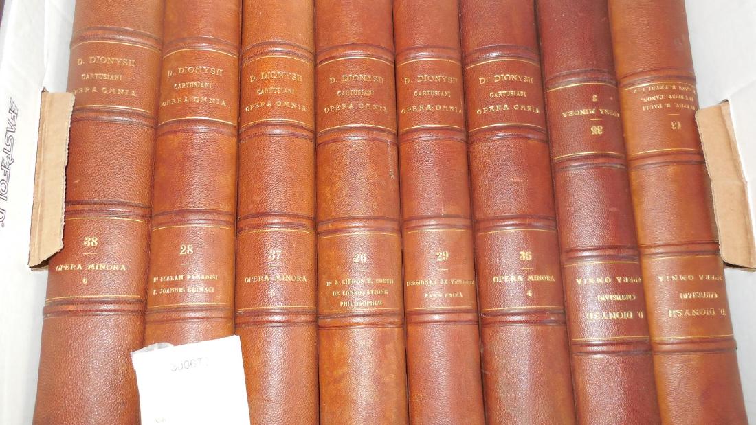 Doctoris ecstatici D. Dionysii Cartusiani (1 of 1)