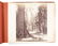 Yosemite views by I.W. Taber and others - 5