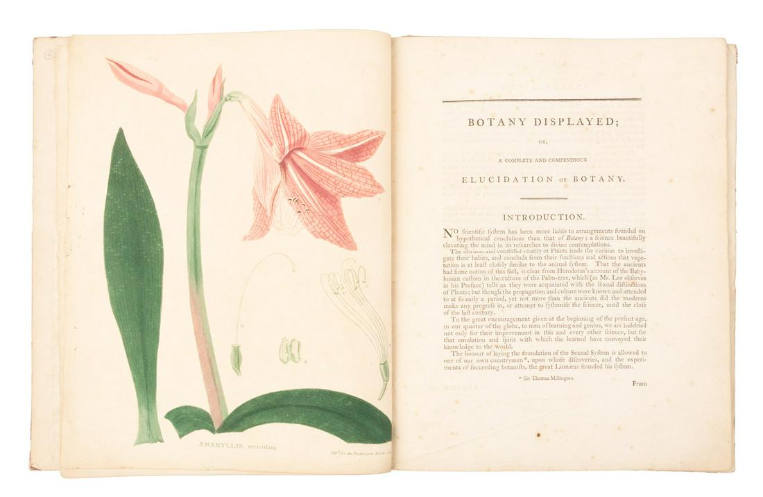 Six colored botanical prints, 1798 (1 of 2)