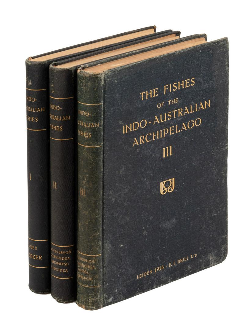 The Fishes of the Indo-Australian Archipelago (1 of 4)