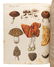 Seven volumes of Bertuch's Bilderbuch für Kinder - 7