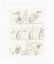 Rare KURTZMAN Original EC Vellum Roughs, GUYNEMER, 1953 - 6