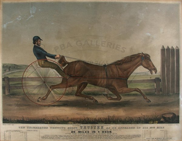 Currier & Ives, Celebrated Trotting Horse Trustee