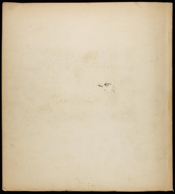 Emmett Gowin Concerning America & Stieglitz 1/100 - 8