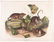 Audubon hand-colored litho, Norway Rat