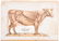 With 2 chromolithograph manikins on cow anatomy - 4