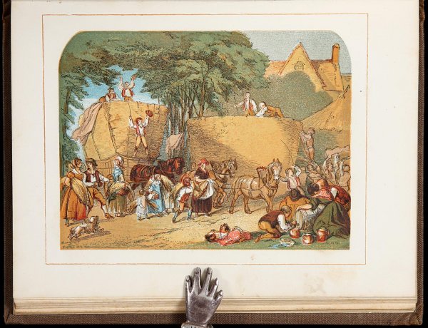 Rare Juvenile Illustrated by Harrison Weir