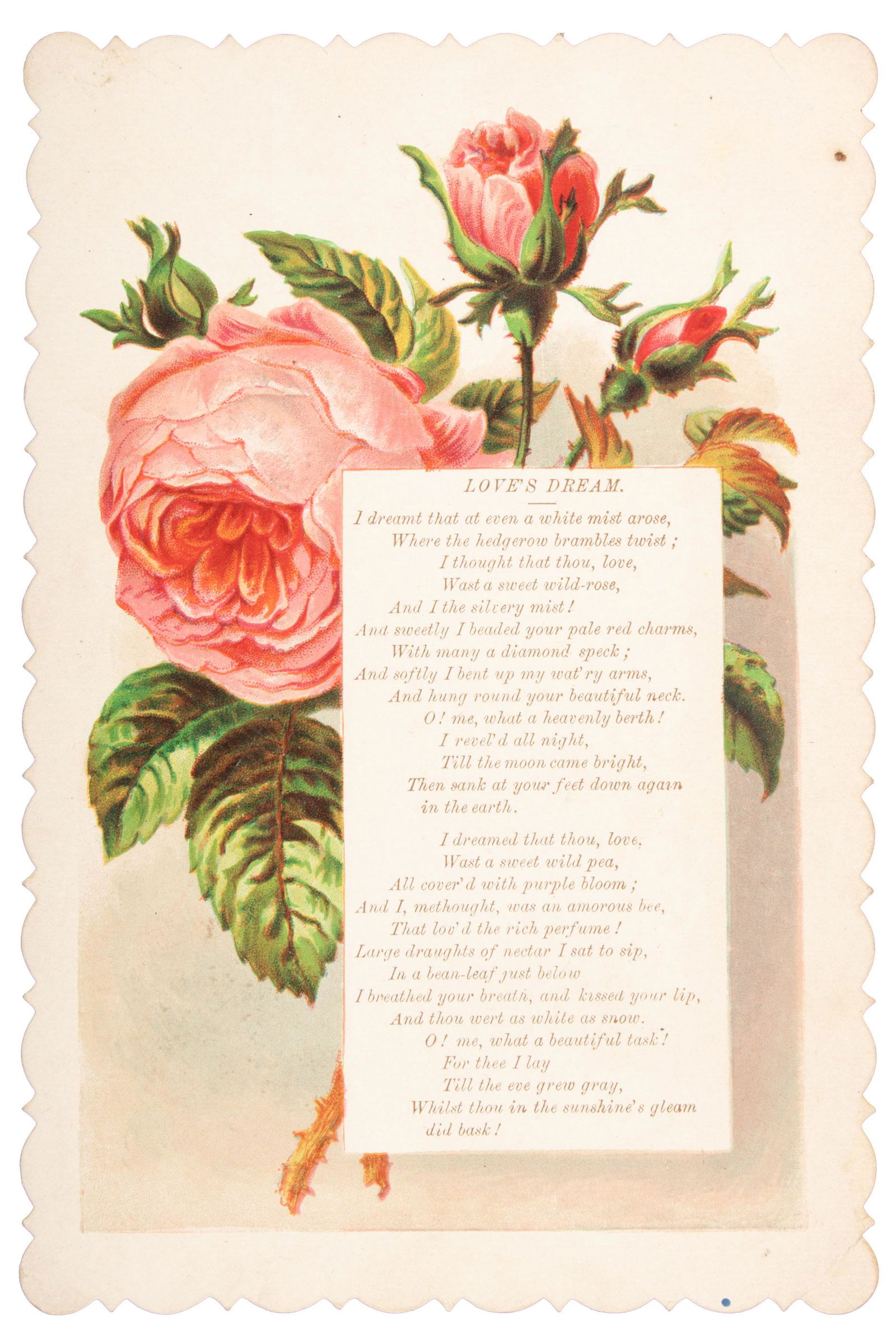 Large album of Victorian Valentines w/ 50 trade cards (1 of 6)