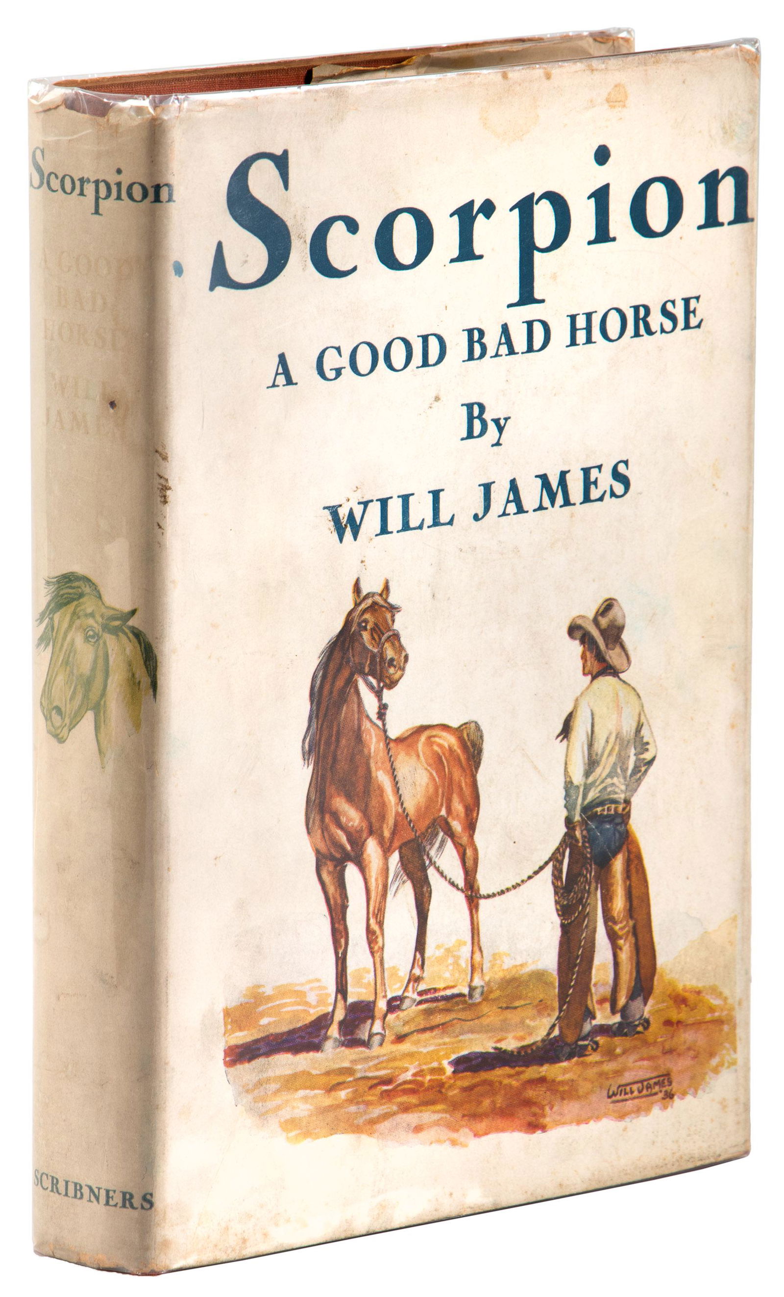 Will James Scorpion First Edition in dj (1 of 1)