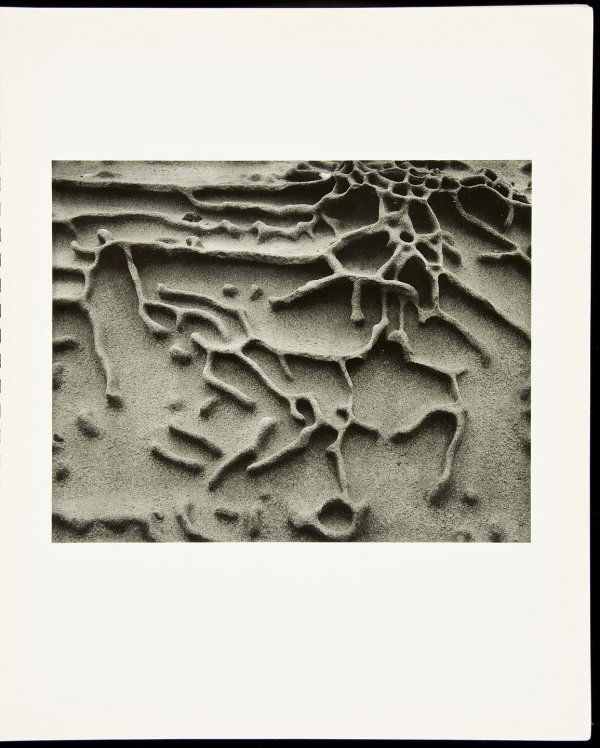 My Camera on Point Lobos 1st ed by Ed Weston: Title: My Camera on Point Lobos Author: Weston, Edward Description: 30 photograph plates. 14½x12, original spiral-bound stiff wrappers. First Edition."Edward Weston first met Point Lobos on a day in